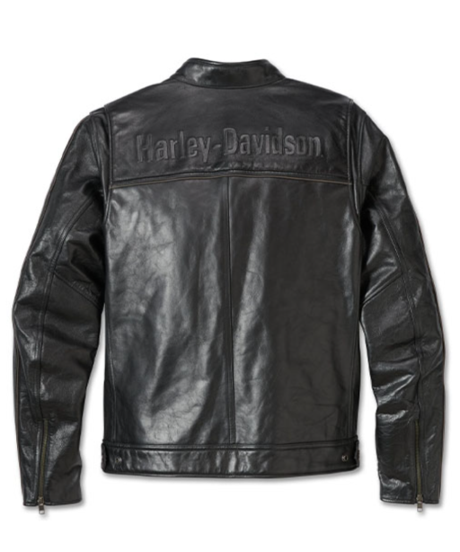 コーディネート